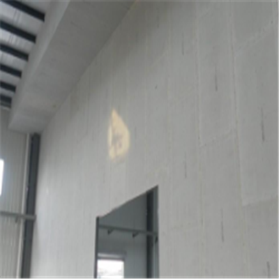 德兴宁波ALC板|EPS加气板隔墙与混凝土整浇联接的实验研讨